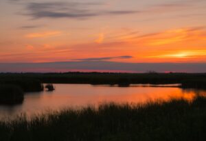 Sunset over calm water and marsh trees